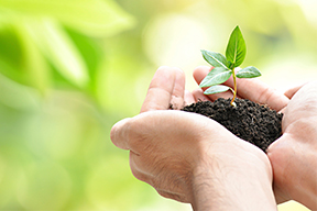 protect-wealth-personal-financial-planning