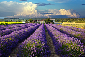 france-transfer-uk-pension