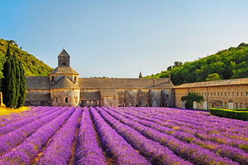 French property with lavender; Residency & financial planning for France