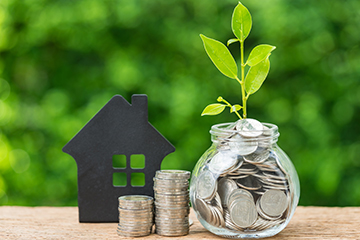 Coins and a sapling; managing savings & investments for France
