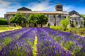 Provence lavender field, France; prepare finances for unexpected