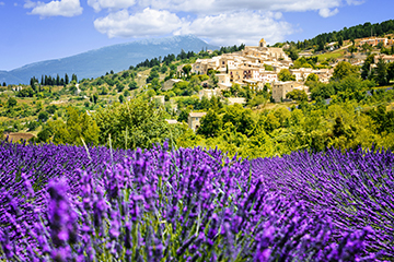 French field; cross-border financial planning for France
