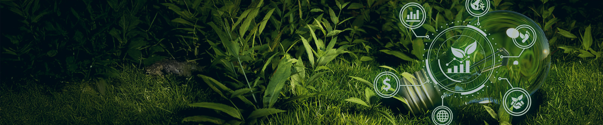 Responsible Investing (ESG)