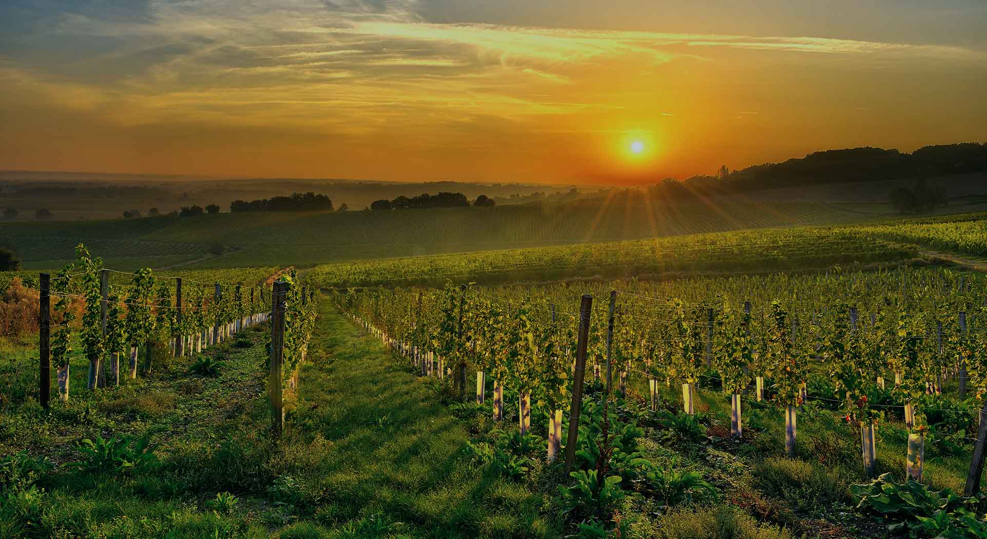 France, Bergerac, Dordogne