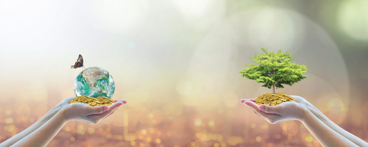 ESG Investing